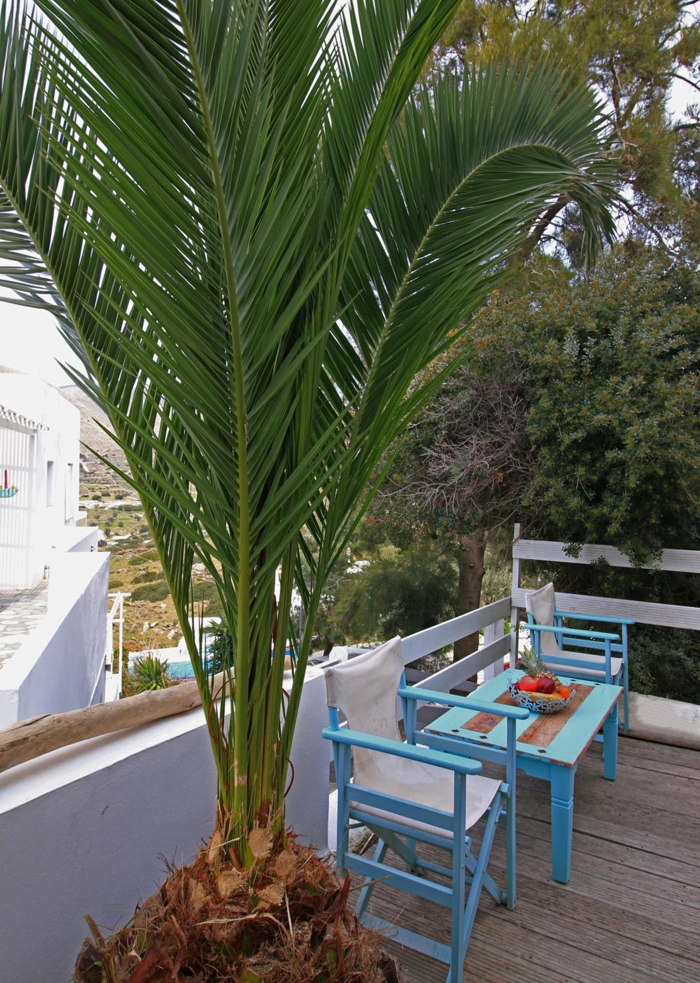 Captain's Kini Exterior foto